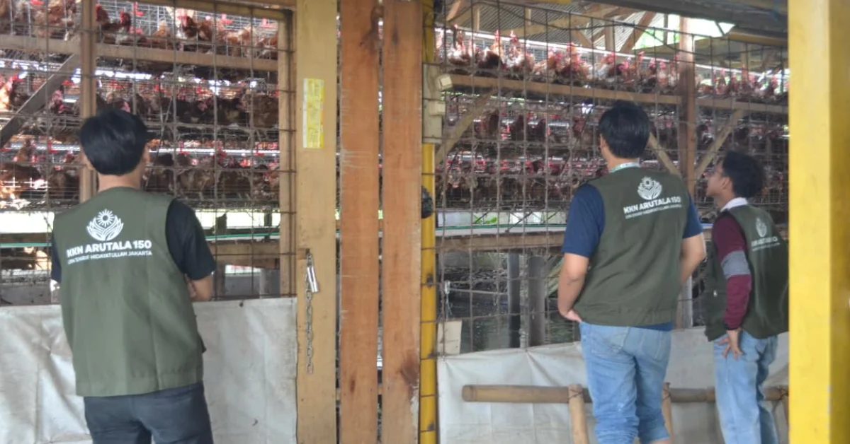 KKN Arutala 150 UIN Jakarta Dorong Ketahanan Pangan Desa lewat Digitalisasi Pemasaran